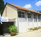 דקלים 